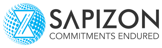 Software Testing Company In USA Sapizon Technologies