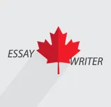 Essay writer