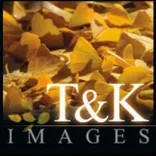 T&K Images - Fine Art Photography