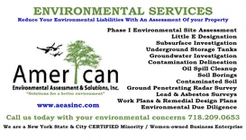 American Environmental Assessment & Solutions, Inc.