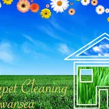 Pro Carpet Cleaning Swansea