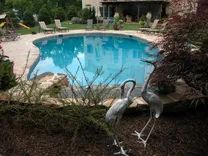 Indigo Pool Designs