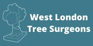 West London Tree Surgeons