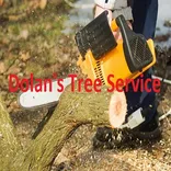 Dolan's Tree Service
