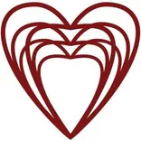 Heart Cells Foundation