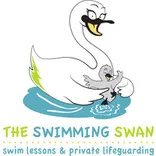 The Swimming Swan