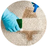 Carpet Cleaning Logan