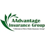 AAdvantage Insurance Group