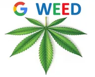 Google Weed Delivery
