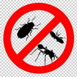 Pest Control Wollongong