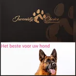 Juvenisty Choice www.bestehondenvoer.nl