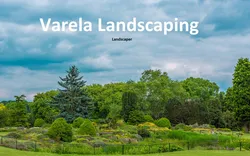 Varela Landscaping