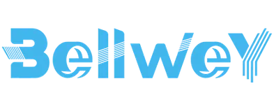 Bellwey Digital Marketing Services