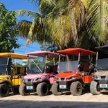 One Love Golf Cart Rentals