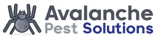 Avalanche Pest Solutions Mission TX