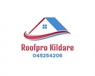 Roofpro Kildare
