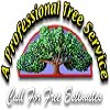 Professional Tree Service Lexington KY 