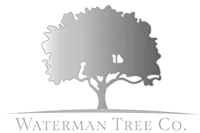 Waterman Tree Co