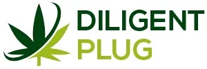 DILIGENT PLUG