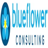 Blueflower Consulting