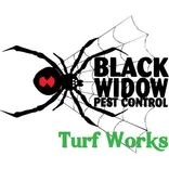 Black Widow Pest Control