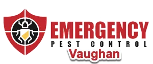 Emergency Pest Control Vaughan