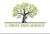 Houston Tree Service Experts