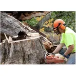 Niagara Tree Care Services