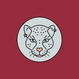  Red Cheetah Design