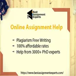 UK Best Assignment Experts