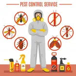 Pest Control Clayfield