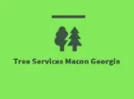 Tree Services Macon Georgia