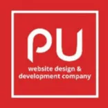 Pixxelu Web Design and Development Company