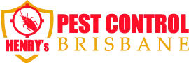 Pest Control Bribie Island