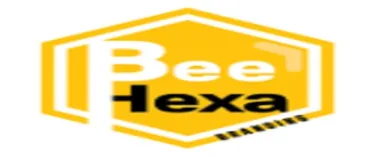 Bee Hexa Branding LLC