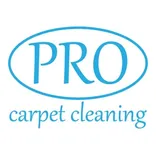 Pro Carpet Cleaning