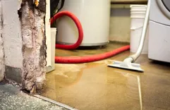 Water Damage Experts of Orlando