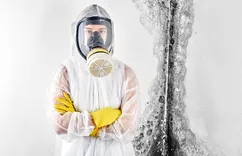 Mold Experts of Seattle