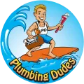 Plumbing Dudes