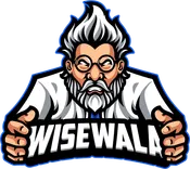 WiseWala Web Design