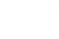 RESTAURANT AriZ5