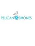 Pelican Drones 