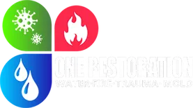 One Restoration Inc