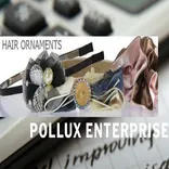 Pollux Enterprise