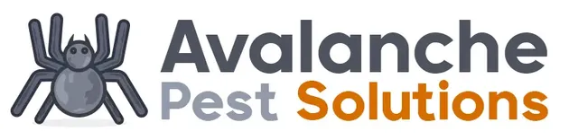 Avalanche Pest Solutions Boulder CO