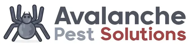 Avalanche Pest Solutions Greeley CO
