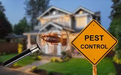 247 Pest Control Melbourne