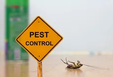 CBD Pest Control Melbourne