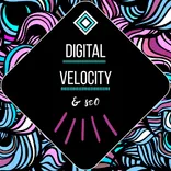 Team Digital Velocity