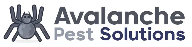 Avalanche Pest Solutions Amarillo TX